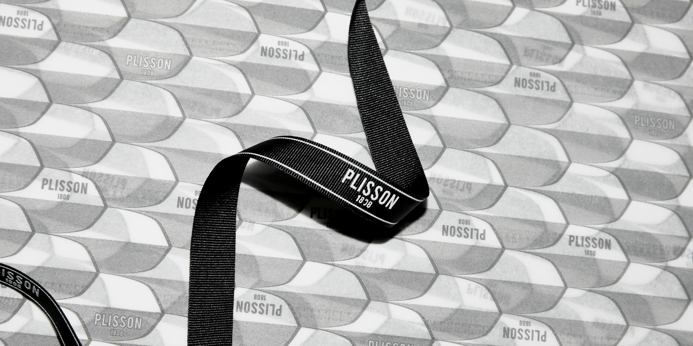 Plisson 1808 rasage masculin