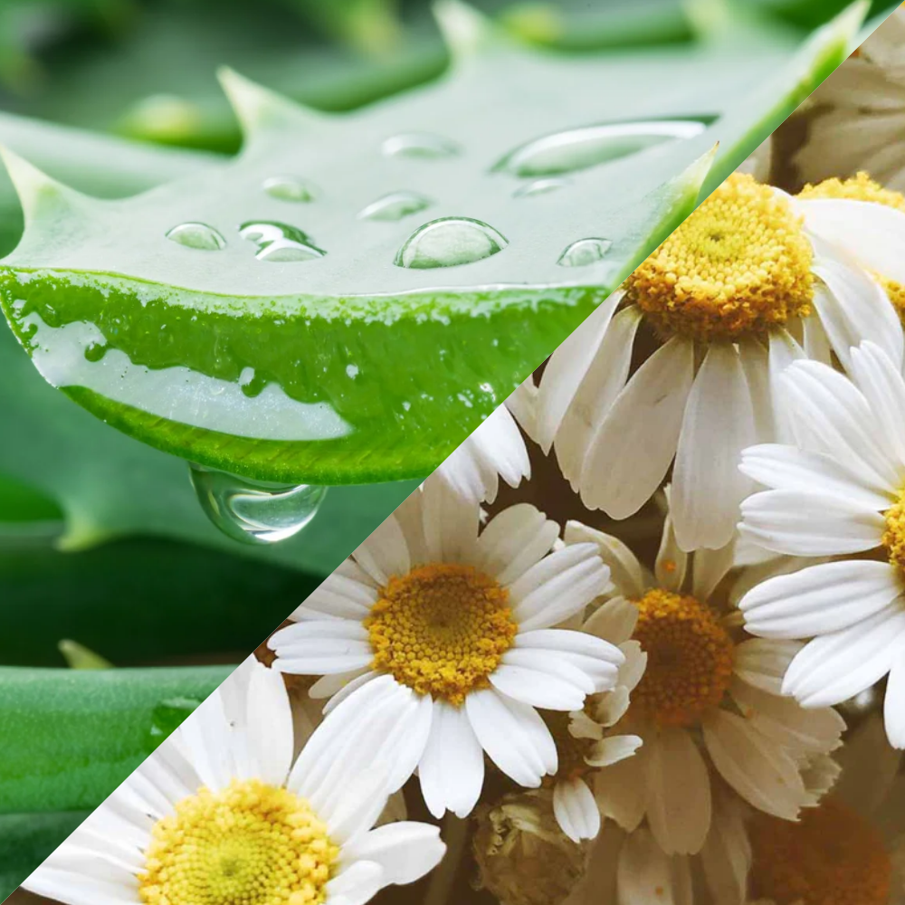 Crema de Afeitar Natural